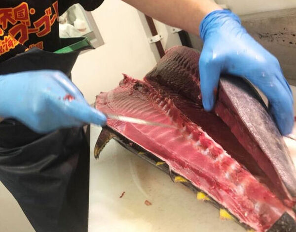 漁港の駅 TOTOCO小田原、来場者数500万人を突破！感謝を込めて7/6～7/15に『大大大マグロ祭り』開催