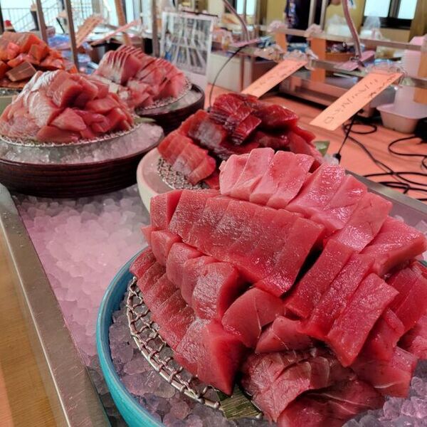 漁港の駅 TOTOCO小田原、来場者数500万人を突破！感謝を込めて7/6～7/15に『大大大マグロ祭り』開催