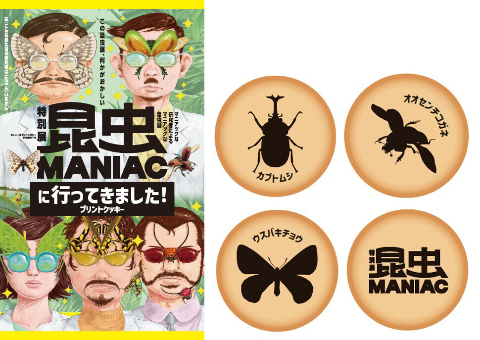 特別展「昆虫 MANIAC」グッズ情報！マニアックなグッズが目白押し！展覧会図録も必見！表紙デザインは標本箱！