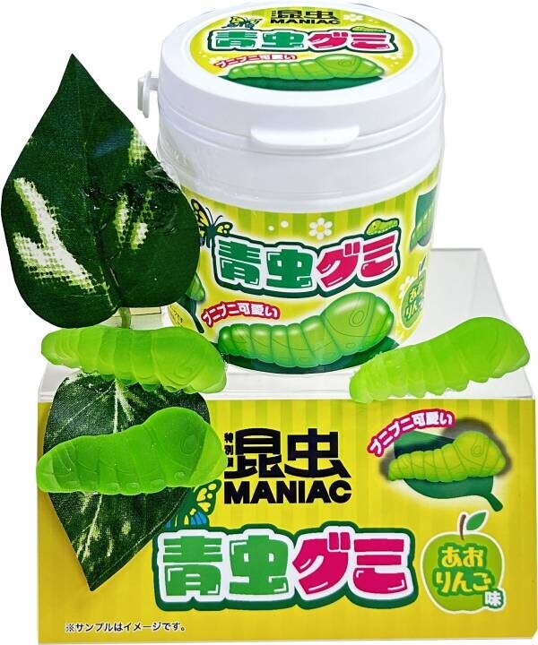 特別展「昆虫 MANIAC」グッズ情報！マニアックなグッズが目白押し！展覧会図録も必見！表紙デザインは標本箱！