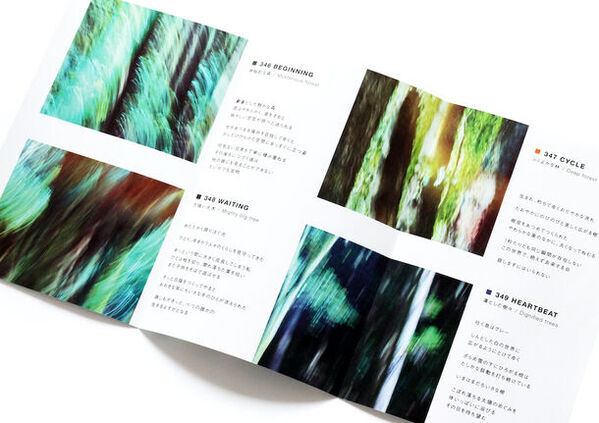 リスンの2024年新作インセンスシリーズ「BREATHING TREES」の全4種が楽しめるアソートメントと木材で作られた限定プロダクトが7月11日(木)発売