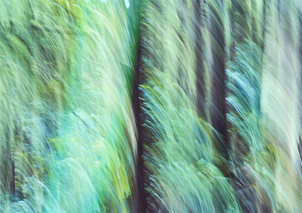 リスンの2024年新作インセンスシリーズ「BREATHING TREES」の全4種が楽しめるアソートメントと木材で作られた限定プロダクトが7月11日(木)発売