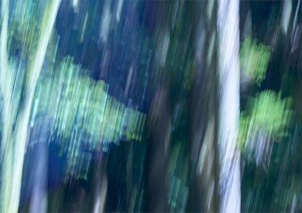 リスンの2024年新作インセンスシリーズ「BREATHING TREES」の全4種が楽しめるアソートメントと木材で作られた限定プロダクトが7月11日(木)発売