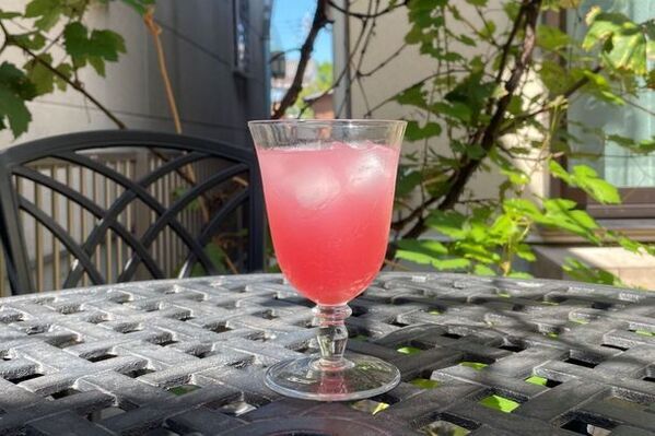 [ライス・モルト・コンブチャ]の販促強化に向けて販売代理店、取扱店の募集を実施