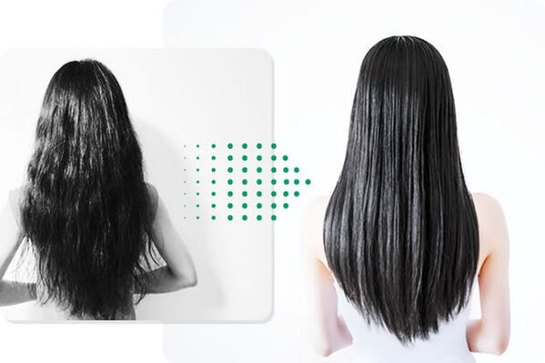 青森県津軽特産のわかめから抽出したワカメエキス配合「つるつるシャンプー＆コンディショナー」販売開始！