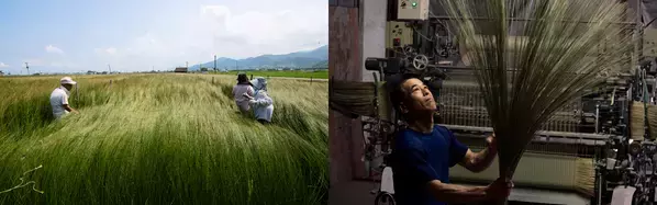 日本一のい草産地 熊本・八代発『畳スピーカー「TTM-V20」』2024/7/4 一般発売開始