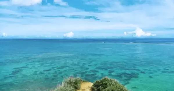 恩納村真栄田の“青の洞窟”そばに沖縄の恵を味わえるお店「Ready!」がオープン！自家製アイスクリームとコーヒーを提供