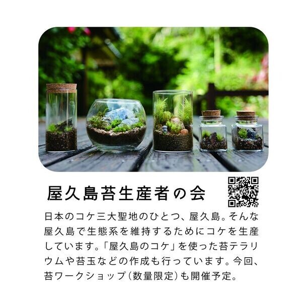 屋久島のつくり手たちが島を出て想いを伝えるマルシェを7月20日・21日に鹿児島空港にて開催