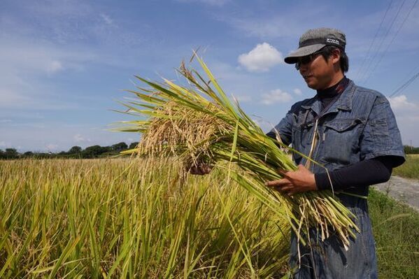 【創業98年】老舗の養鶏会社が世界に向けてEU基準を満たした新たな放牧平飼い農場を開設。アニマルウェルフェアを配慮したサステナブルな養鶏場。