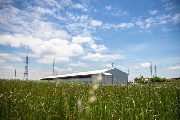 【創業98年】老舗の養鶏会社が世界に向けてEU基準を満たした新たな放牧平飼い農場を開設。アニマルウェルフェアを配慮したサステナブルな養鶏場。