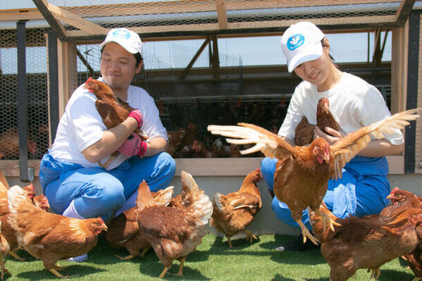【創業98年】老舗の養鶏会社が世界に向けてEU基準を満たした新たな放牧平飼い農場を開設。アニマルウェルフェアを配慮したサステナブルな養鶏場。