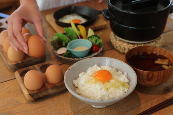 【創業98年】老舗の養鶏会社が世界に向けてEU基準を満たした新たな放牧平飼い農場を開設。アニマルウェルフェアを配慮したサステナブルな養鶏場。