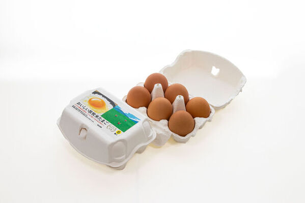 【創業98年】老舗の養鶏会社が世界に向けてEU基準を満たした新たな放牧平飼い農場を開設。アニマルウェルフェアを配慮したサステナブルな養鶏場。