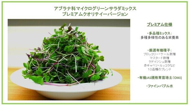 プロ生産者育成！シナジーを生み出す新芽幼野菜・マイクログリーン栽培、ノウハウ満載の業務提携で時短達成、正統派マイクログリーン栽培！