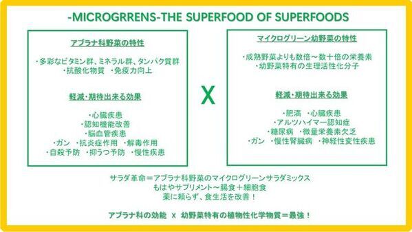 プロ生産者育成！シナジーを生み出す新芽幼野菜・マイクログリーン栽培、ノウハウ満載の業務提携で時短達成、正統派マイクログリーン栽培！