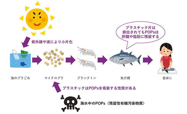 SDGsへの取り組み！海のプラごみ問題に向き合う活動『水辺のプラごみフォトコンテスト2024』の作品募集を開始！応募期間は7月20日(土)～8月31日(土)