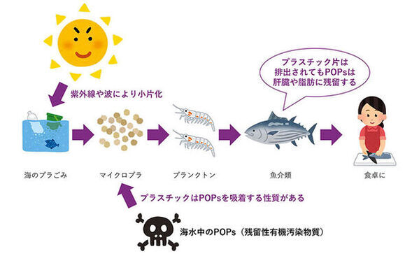 SDGsへの取り組み！海のプラごみ問題に向き合う活動『水辺のプラごみフォトコンテスト2024』の作品募集を開始！応募期間は7月20日(土)～8月31日(土)