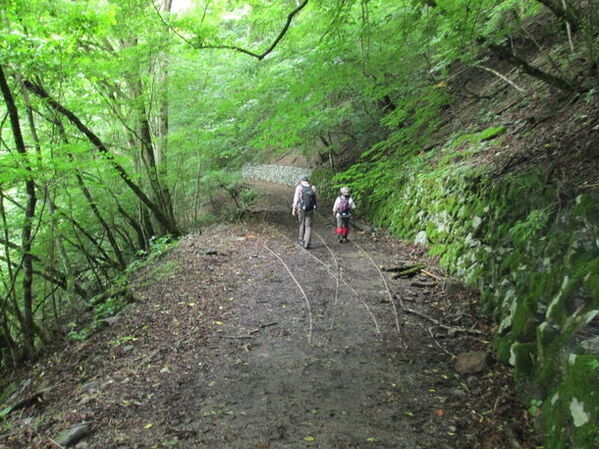 「日本の滝100選」選出の滝や深緑の山歩きで四季を体感　秩父鉄道、夏山ハイキングを8-9月に開催