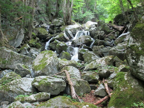 「日本の滝100選」選出の滝や深緑の山歩きで四季を体感　秩父鉄道、夏山ハイキングを8-9月に開催