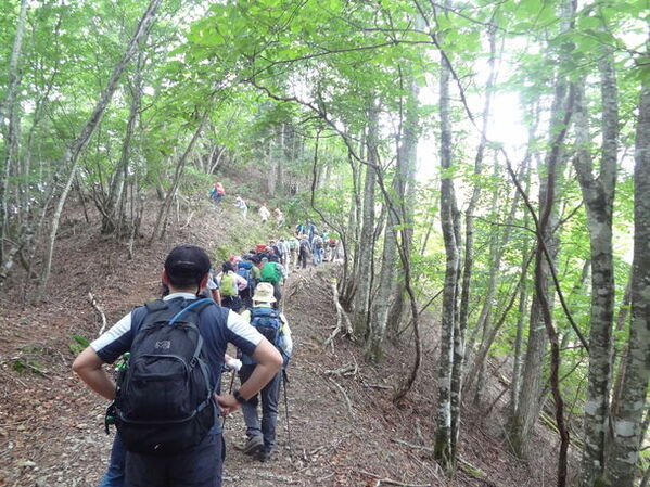 「日本の滝100選」選出の滝や深緑の山歩きで四季を体感　秩父鉄道、夏山ハイキングを8-9月に開催