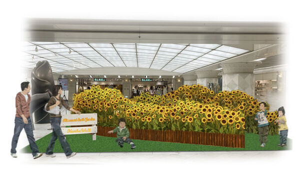 なんばウォークで10,000本以上の生花のひまわり畑が出現！「笑顔咲く！ひまわりガーデン」を7/18～8/18に開催