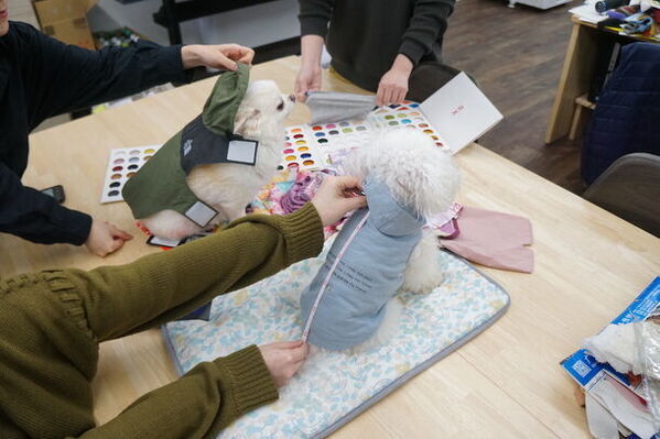 富山でデザイン・インターンシップ＜学生部門・社会人部門＞を開催。7月25日まで参加者募集中！富山県までの旅費を全額補助