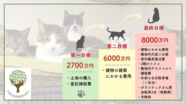 シニア保護猫の専用部屋を作るためのクラウドファンディングに7月31日まで挑戦！～目標は建物建築にかかる費用6,000万円～