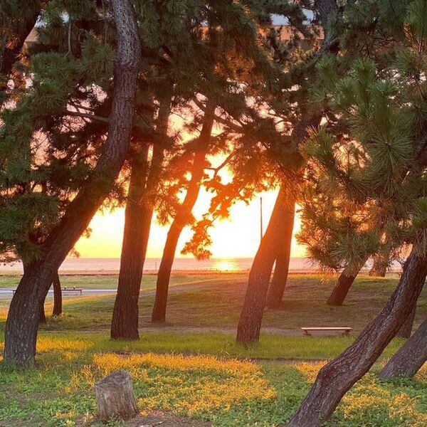 南大阪　貝塚市　UNITY KIXビーチリゾートー二色の浜　非日常感抜群のガーデン空間で、グループ貸し切りBBQプラン　9月2日スタート！！