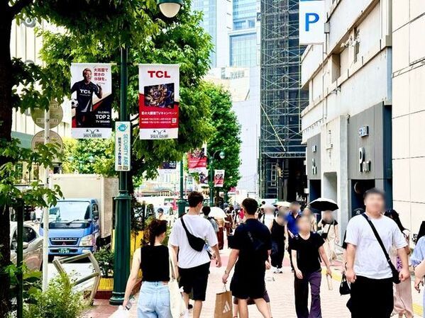 TCL×道頓堀エビスバシの3D秋田犬のコラボ映像が期間限定公開！飛び出すかわいい秋田犬が大画面テレビで大迫力映像に