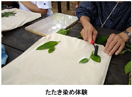 六甲高山植物園 × 伊丹市昆虫館夏イベント 「しょくぶつ と むし」 開催！