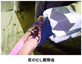 六甲高山植物園 × 伊丹市昆虫館夏イベント 「しょくぶつ と むし」 開催！