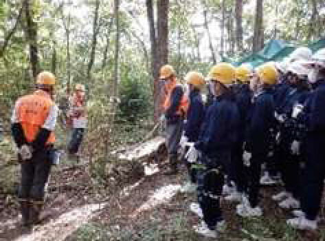 「経団連生物多様性宣言イニシアチブ」に参画しました～自然環境・生物多様性の保全につながる活動を推進～