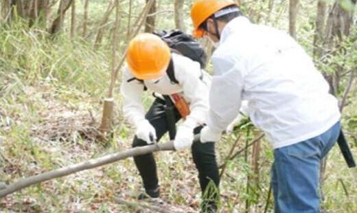 「経団連生物多様性宣言イニシアチブ」に参画しました～自然環境・生物多様性の保全につながる活動を推進～