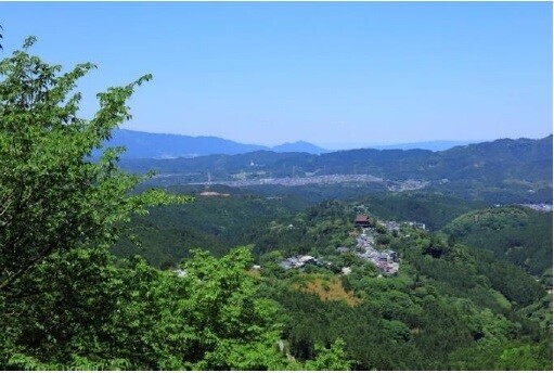 ～紀伊山地の霊場と参詣道　世界遺産登録２０周年記念～「高野山・吉野世界遺産登録２０周年記念デジタルきっぷ」を発売します！