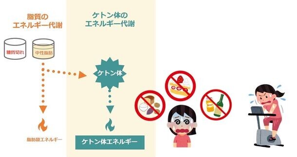 ＜全国の20代～50代の男女1,000名に聞いた「体型に関する意識実態調査」＞トライしたことのあるダイエットは「糖質制限」が全世代で1位！一方、6割以上は食事制限・運動ダイエットに失敗…68％が摂取してみたいと回答！海外セレブから人気に火が付いた「ケトン体」ダイエットとは？