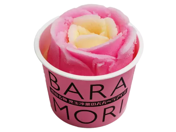 累計来場者数約400万人の国内最大級のアイスクリームイベントが今年もやって来る！約30ブランド・約120種類以上の全国各地のアイスが大集結アイスクリーム万博 「あいぱく(R) inあべのハルカス」