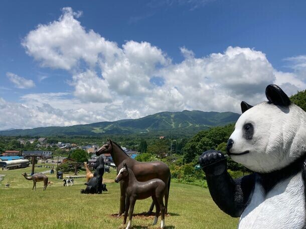 岐阜県郡上市の高原リゾート「ひるがのピクニックガーデン」今年もオープン　1万5千株のベゴニアが見頃！フォトスポット「イロドリこみち」には新シリーズ登場