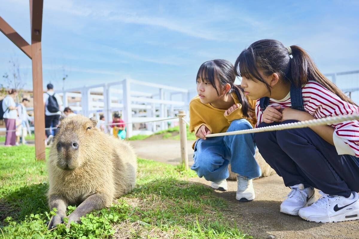 横須賀「長井海の手公園 ソレイユの丘」で法政大学と連携した持続可能な未来を学ぶSDGsワークショップを8月14日（水）・16日（金）に開催！