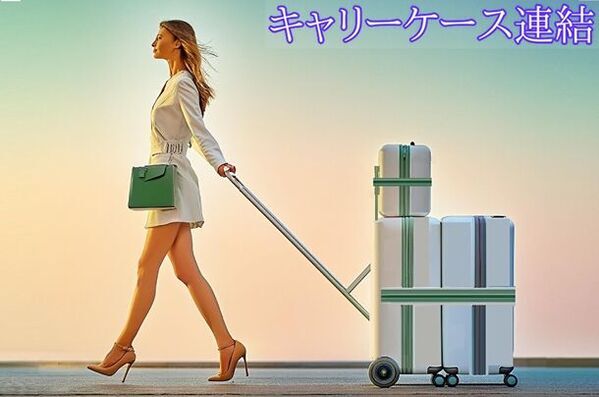 らくらく移動で従来の常識を超えた複合型キャリーケース「らくぱる」　7月23日にクラウドファンディングを開始しました