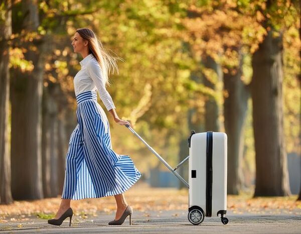 らくらく移動で従来の常識を超えた複合型キャリーケース「らくぱる」　7月23日にクラウドファンディングを開始しました