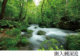 夏休みの“長期滞在の旅”が前年比1.5倍白馬・車山高原・釧路が好調秋の予約もいよいよスタート 新商品2コース誕生