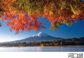 夏休みの“長期滞在の旅”が前年比1.5倍白馬・車山高原・釧路が好調秋の予約もいよいよスタート 新商品2コース誕生