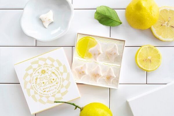 陶磁器の魅力が満載「器と暮らし市 in 万博記念公園 vol.2」を2024年9月14日(土)～16日(月祝)に開催決定！