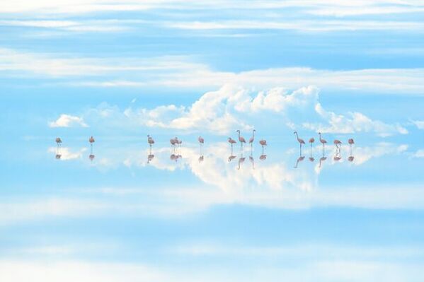 夏の特別企画展「生命のうた　高砂淳二写真展」　福島県・喜多方市美術館にて8月3日より開催