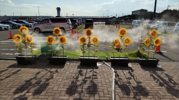 「めんたいパーク」で見て、知って、食べる夏！夏祭りイベントを8月31日(土)まで開催