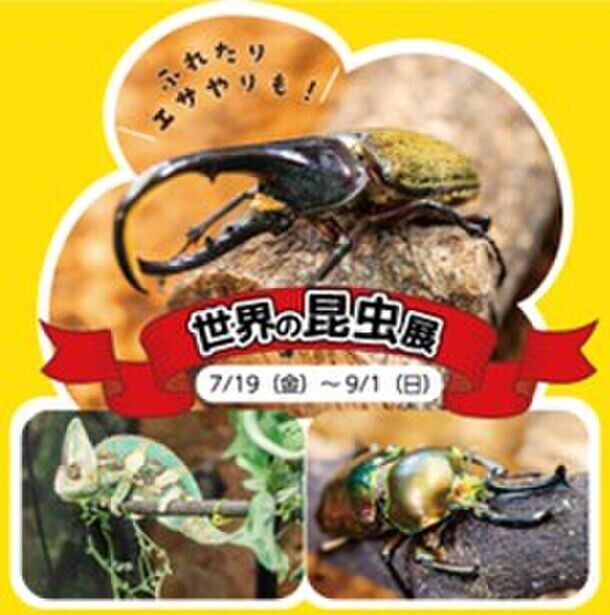 花の文化園で「夏休みキッズワークショップ」を開催！宿題や自由研究にぴったりな体験が盛りだくさん