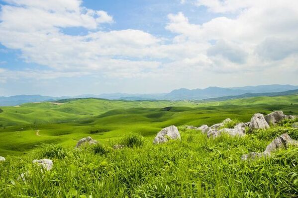 　 山口県美祢市・第46回秋吉台観光まつり花火大会　花火大会継続のため、個人協賛として観覧エリア入場券の販売を初実施