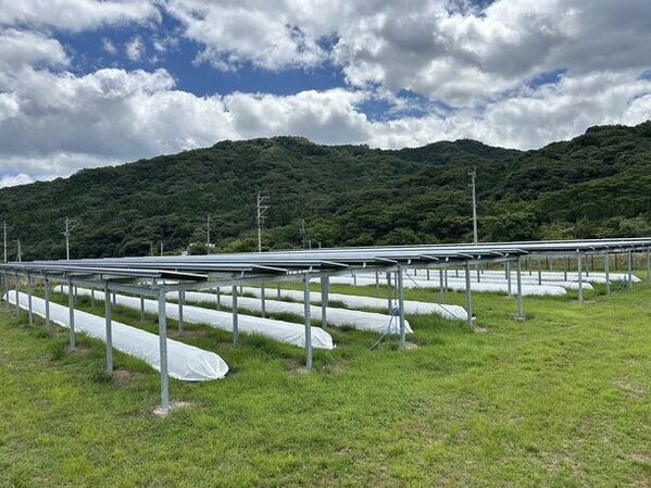 営農型太陽光の農業(営農)再建サービス　豊前市4.2メガ営農型　2か月で再建成功