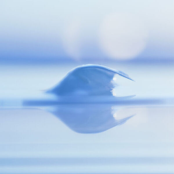 クリエイティブラボ Out of Blue がSIGGRAPH 2024 にてデジタルアートを発表