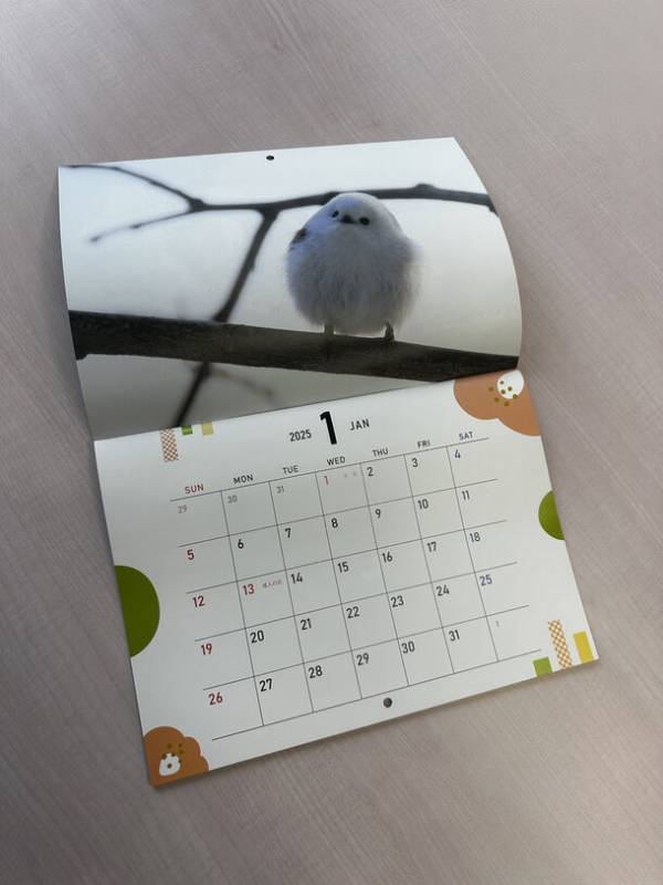 北海道で撮影された「シマエナガカレンダー2025」を500冊限定で8/26に発売